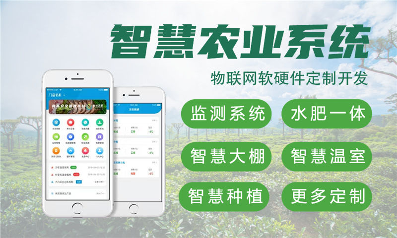 合肥嵌入式Linux开发：破解智能硬件研发难题，助力企业高效转型
