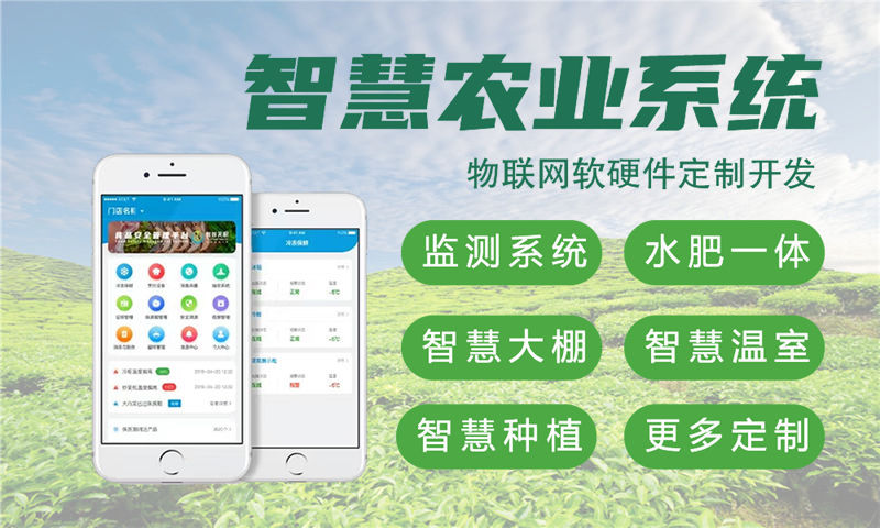 苏州Raspberry Pi开发：解决企业硬件研发痛点的高效解决方案