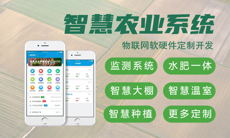 合肥物联网单片机开发解决方案：如何用专业工程师突破硬件研发瓶颈