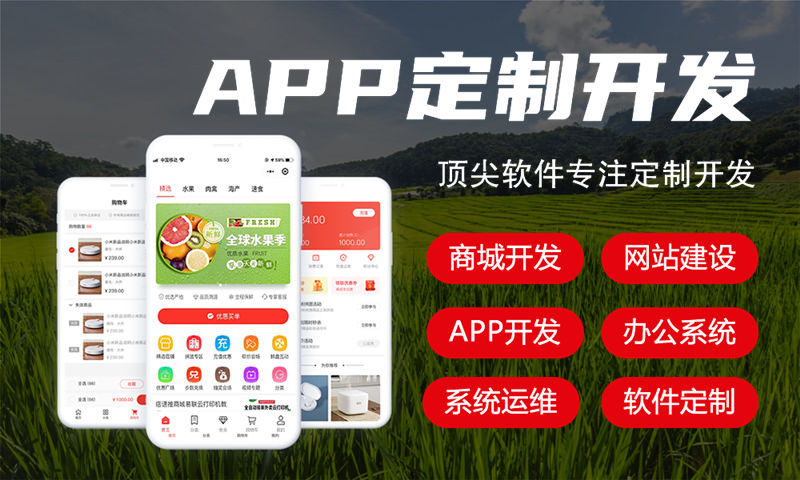 杭州三三复制公排商城app（源码成品）开发：企业数字化转型的高效解决方案