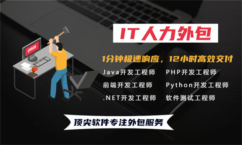 武汉.NET程序员驻场外包解决方案：高效应对企业技术团队搭建难题