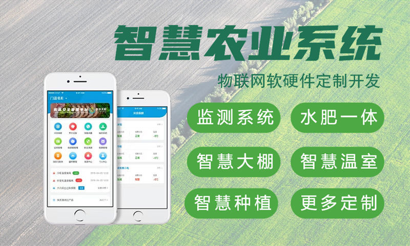 天津嵌入式 Linux 开发解决方案，助力企业智能硬件快速量产与升级