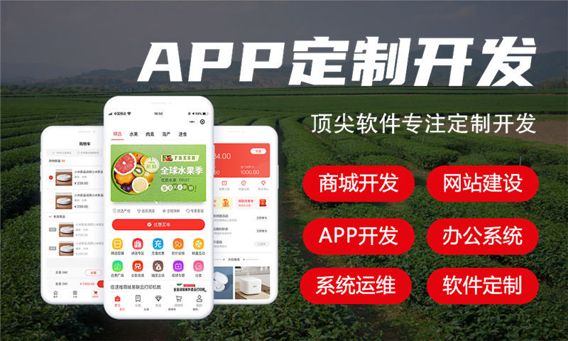 天津AI定制系统小程序开发软件：赋能企业高效数字化转型