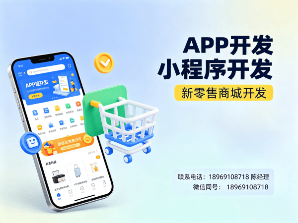 青岛二二全网公排系统软件开发解决方案，助力企业数字化转型