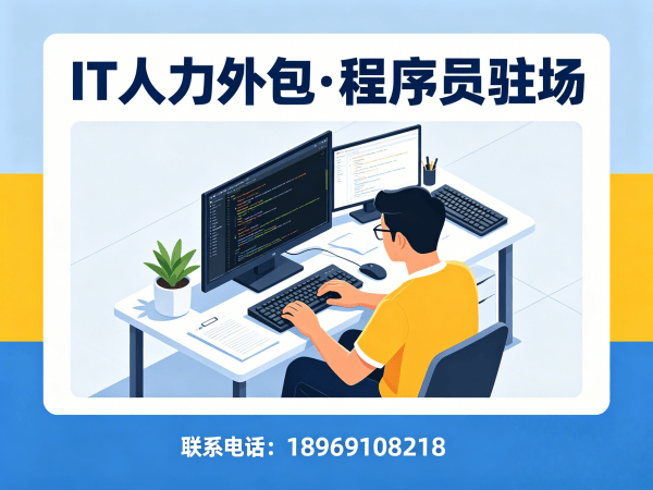 南京IT人力外包解决方案：项目急需程序员驻场开发的高效破局之道
