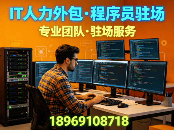 合肥IT人力外包解决方案：破解企业技术人才招聘难题